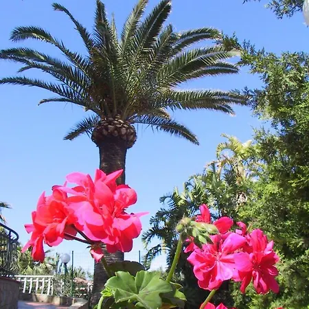 ガイア チェファル